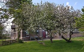 Hunsingo Texel